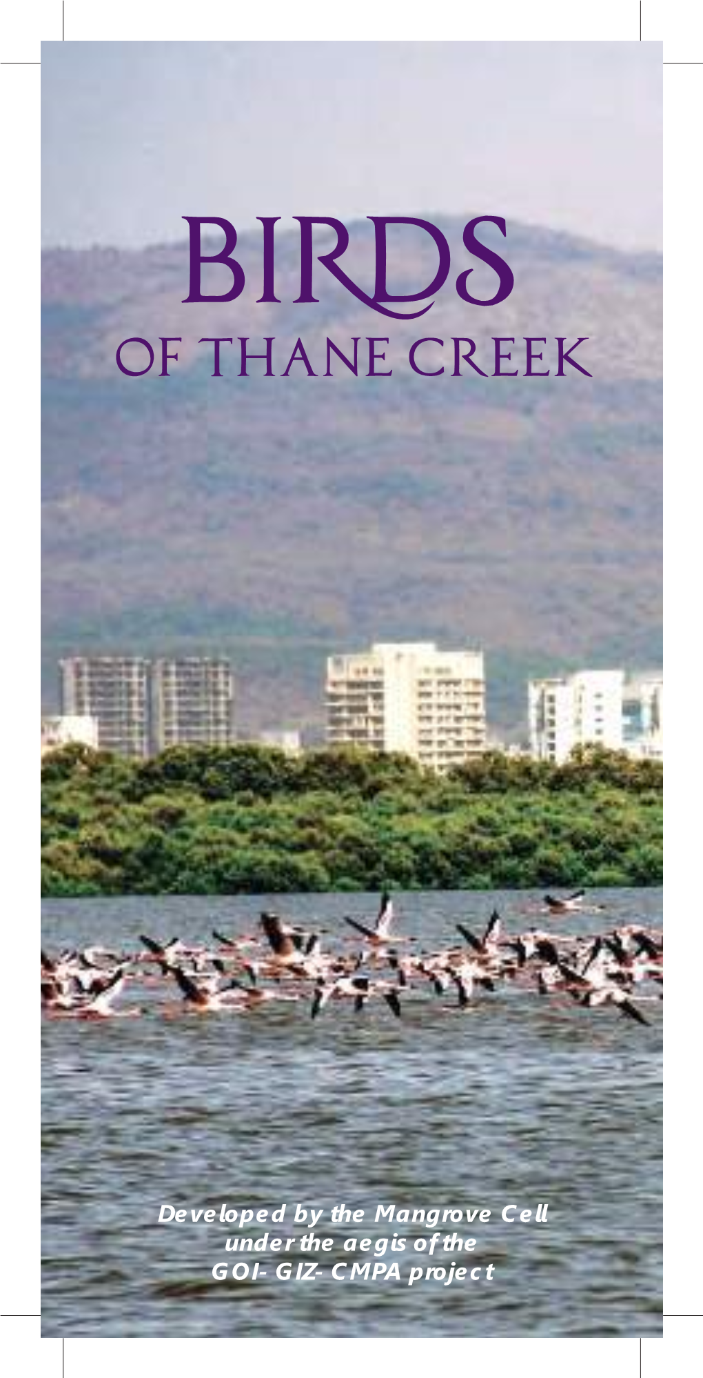 Birds of Thane Creek JAK.Indd