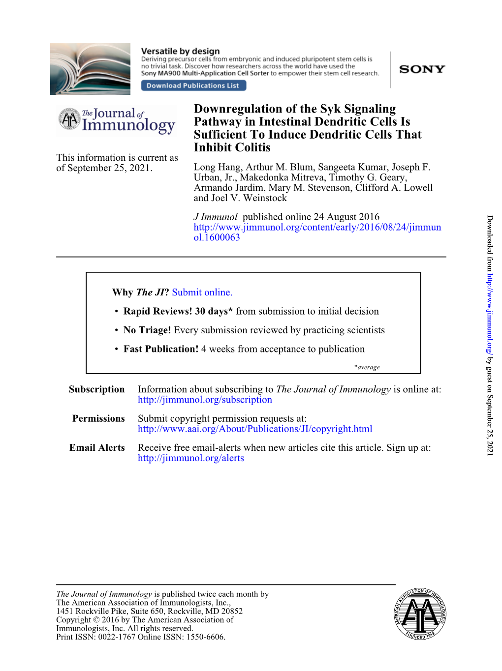 Downregulation of the Syk Signaling Pathway in Intestinal Dendritic Cells