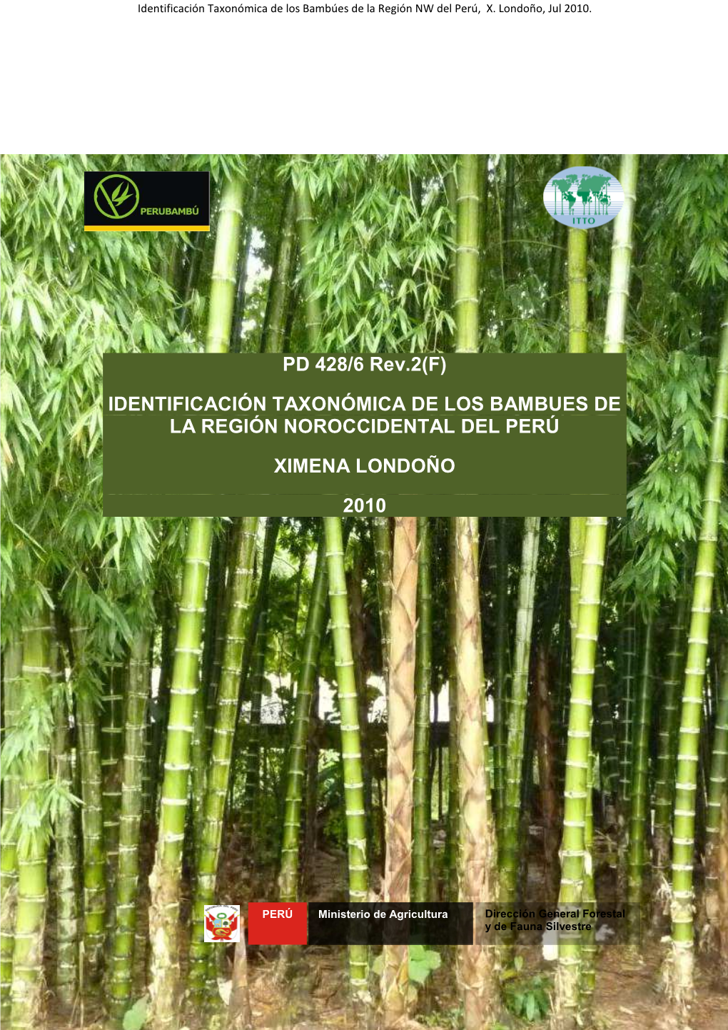 Informe Taxonomia Bambú
