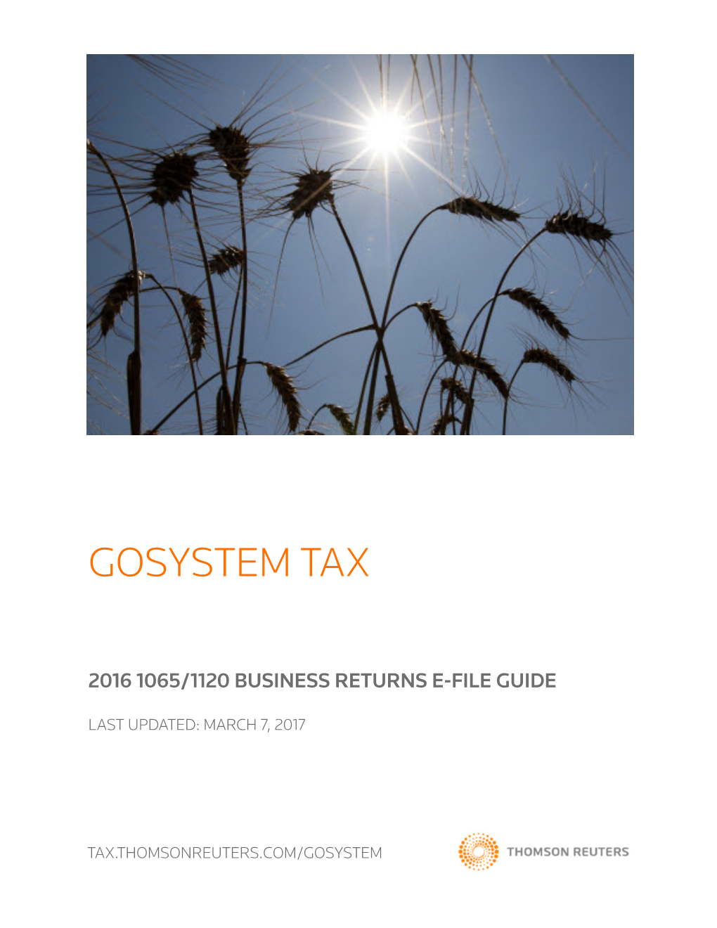Gosystem Tax