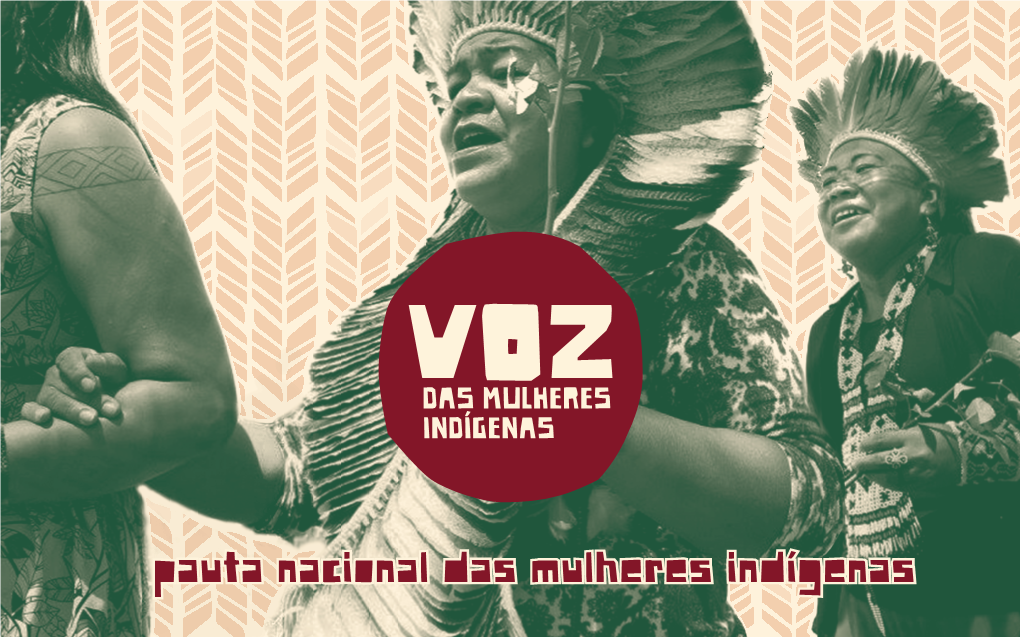 Pauta Nacional Das Mulheres Indígenas Censo Da População Indígena – 2010 305 POVOS INDÍGENAS