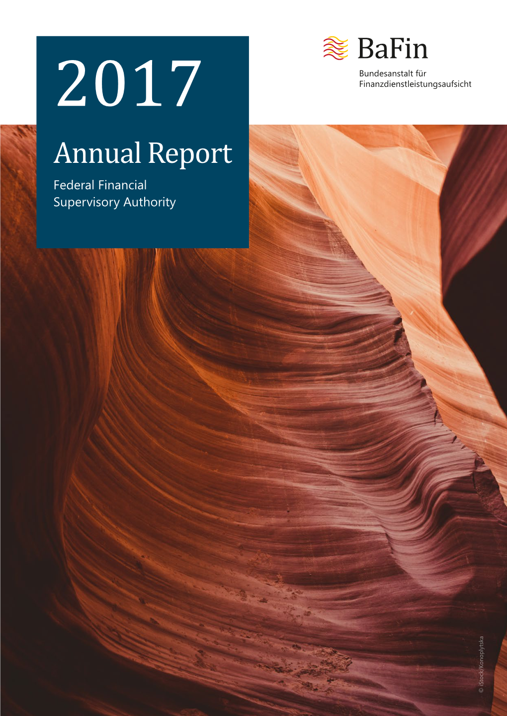 Bafin, Annual Report Federal Financial Supervisory Authority 2017