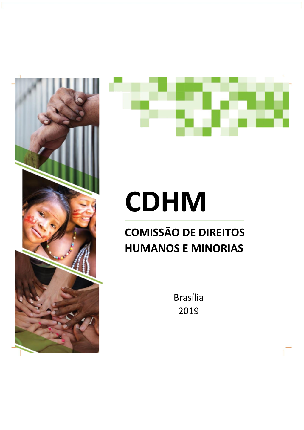 Comissão De Direitos Humanos E Minorias