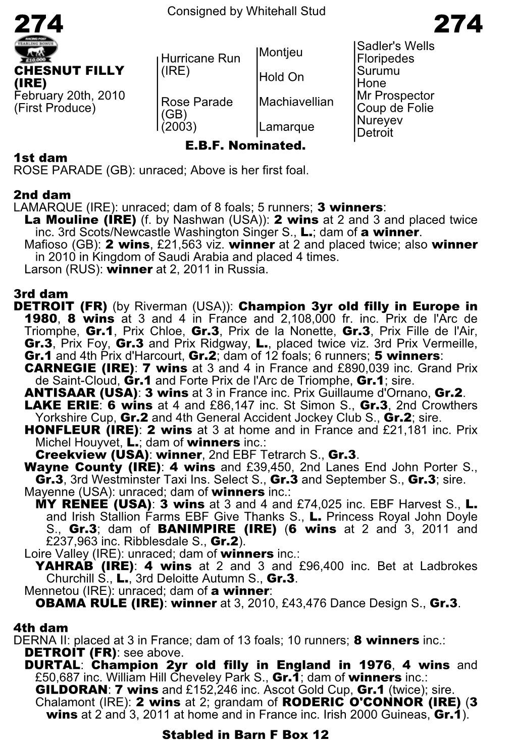 Consigned by Whitehall Stud Montjeu Sadler's Wells