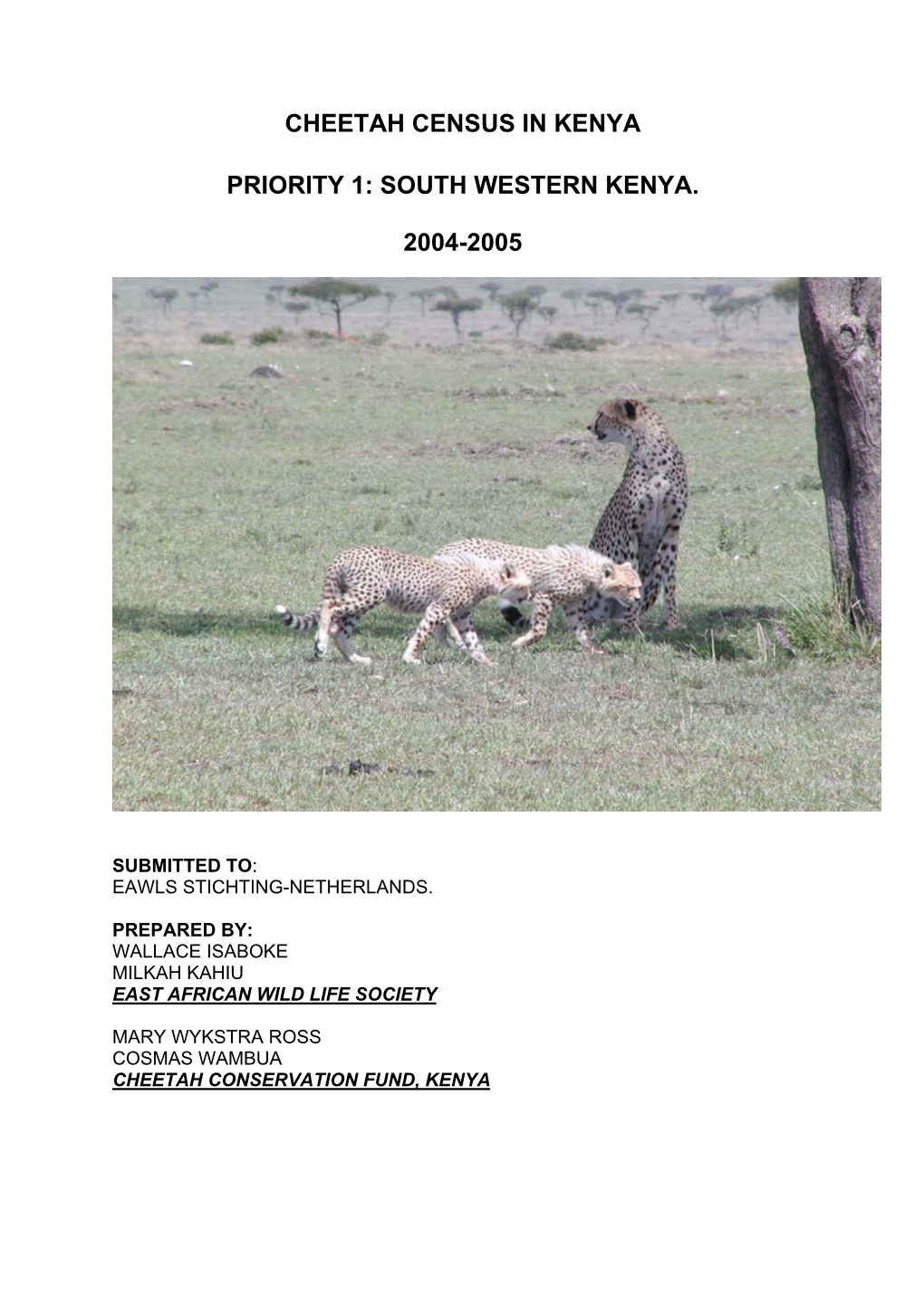 Cheetah Census in Kenya