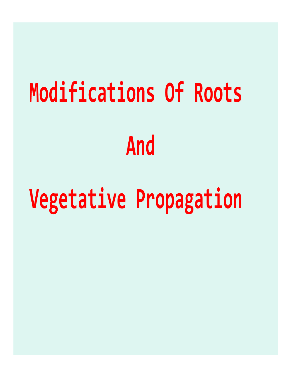Modifications of Roots and Vegetative Propagation • the Root Is the Underground, Non-Green Part of the Plant