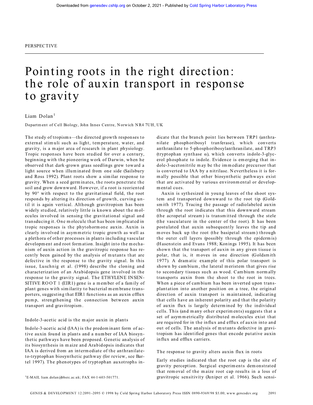 Pointing Roots in the Right Direction: the Role of Auxin Transport in Response to Gravity