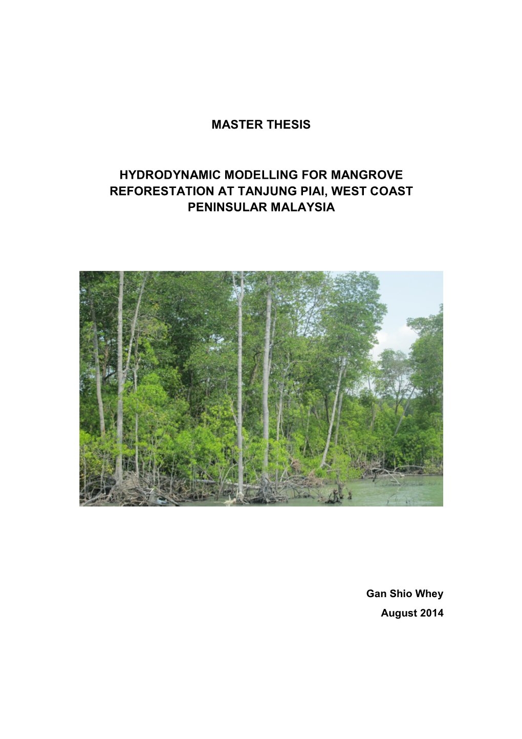 Master Thesis Hydrodynamic Modelling for Mangrove