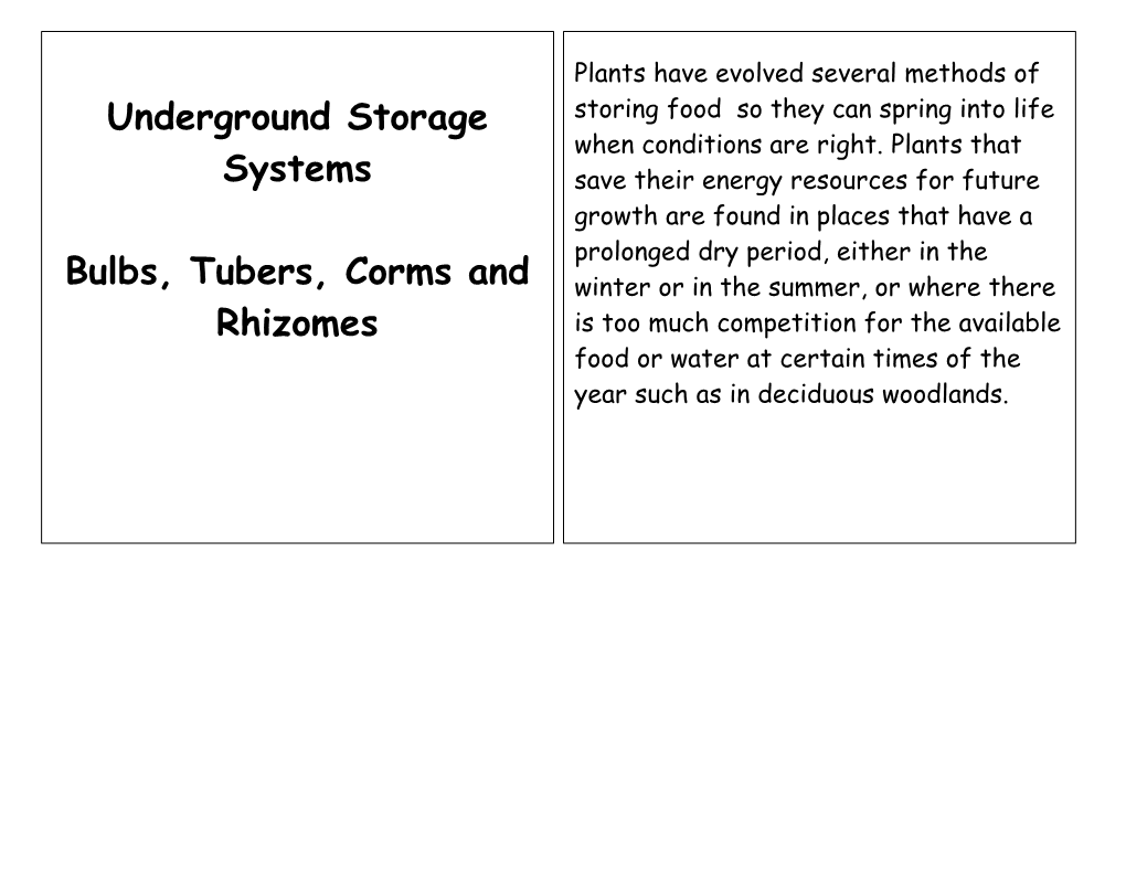 Underground Storage Systems Bulbs, Tubers, Corms and Rhizomes