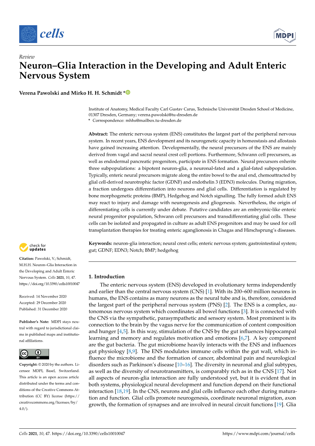 Neuron–Glia Interaction in the Developing and Adult Enteric Nervous System