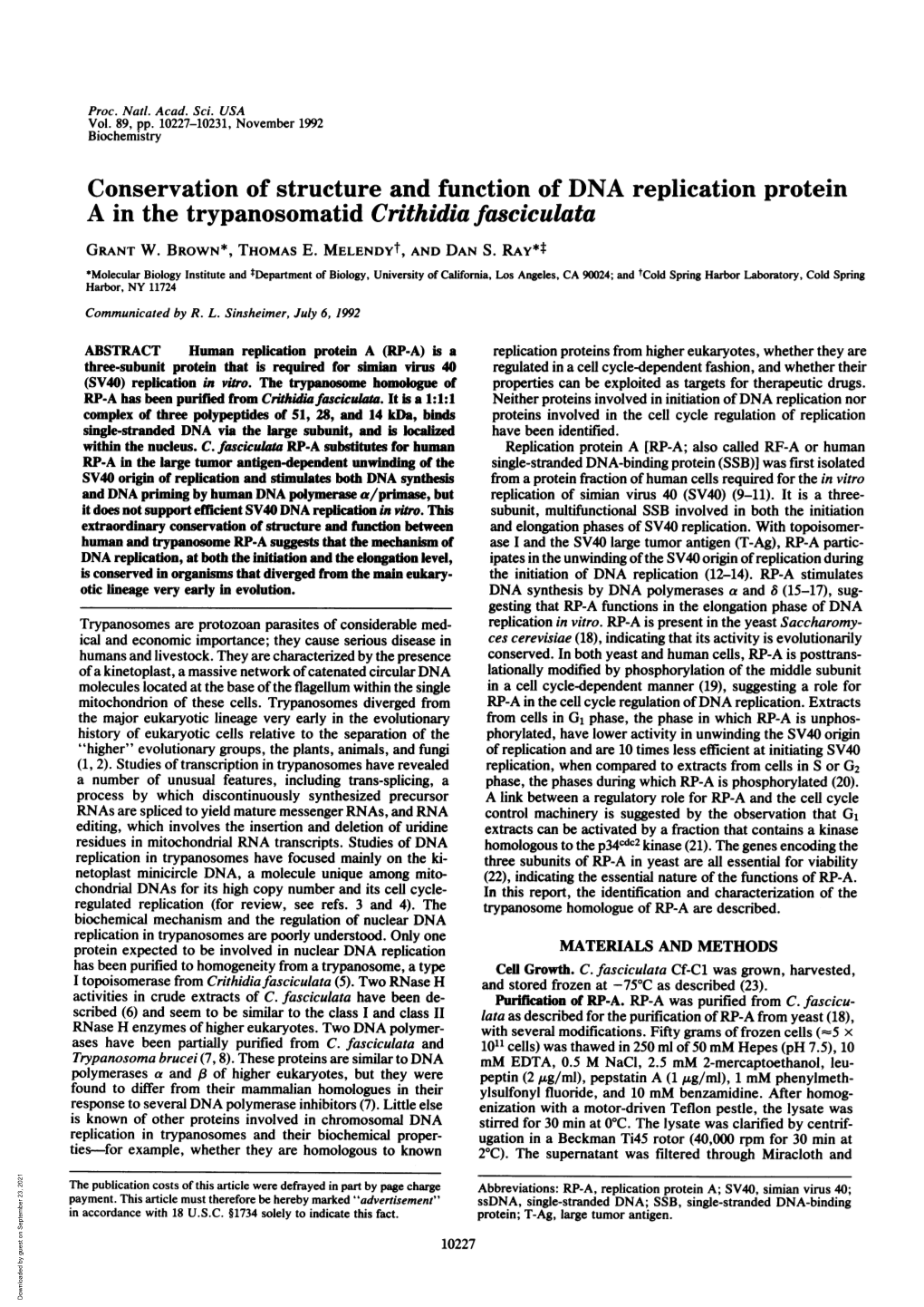 Conservation of Structure and Function of DNA Replication Protein a in the Trypanosomatid Crithidia Fasciculata GRANT W