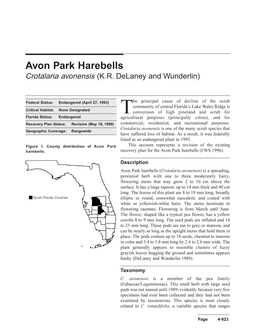 Avon Park Harebells Crotalaria Avonensis (K.R
