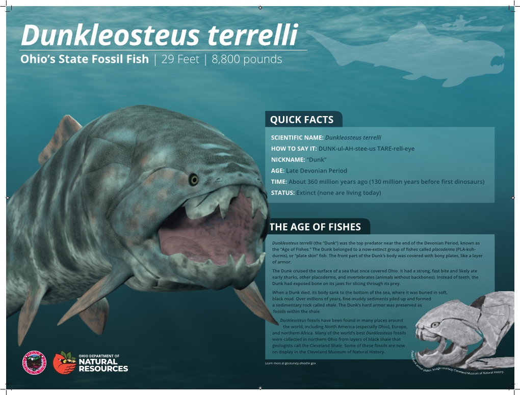 Dunkleosteus Terrelli Poster