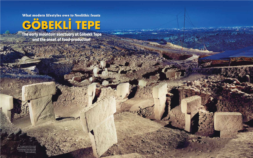 GÖBEKLİ TEPE the Early Mountain Sanctuary at Göbekli Tepe and the Onset of Food-Production