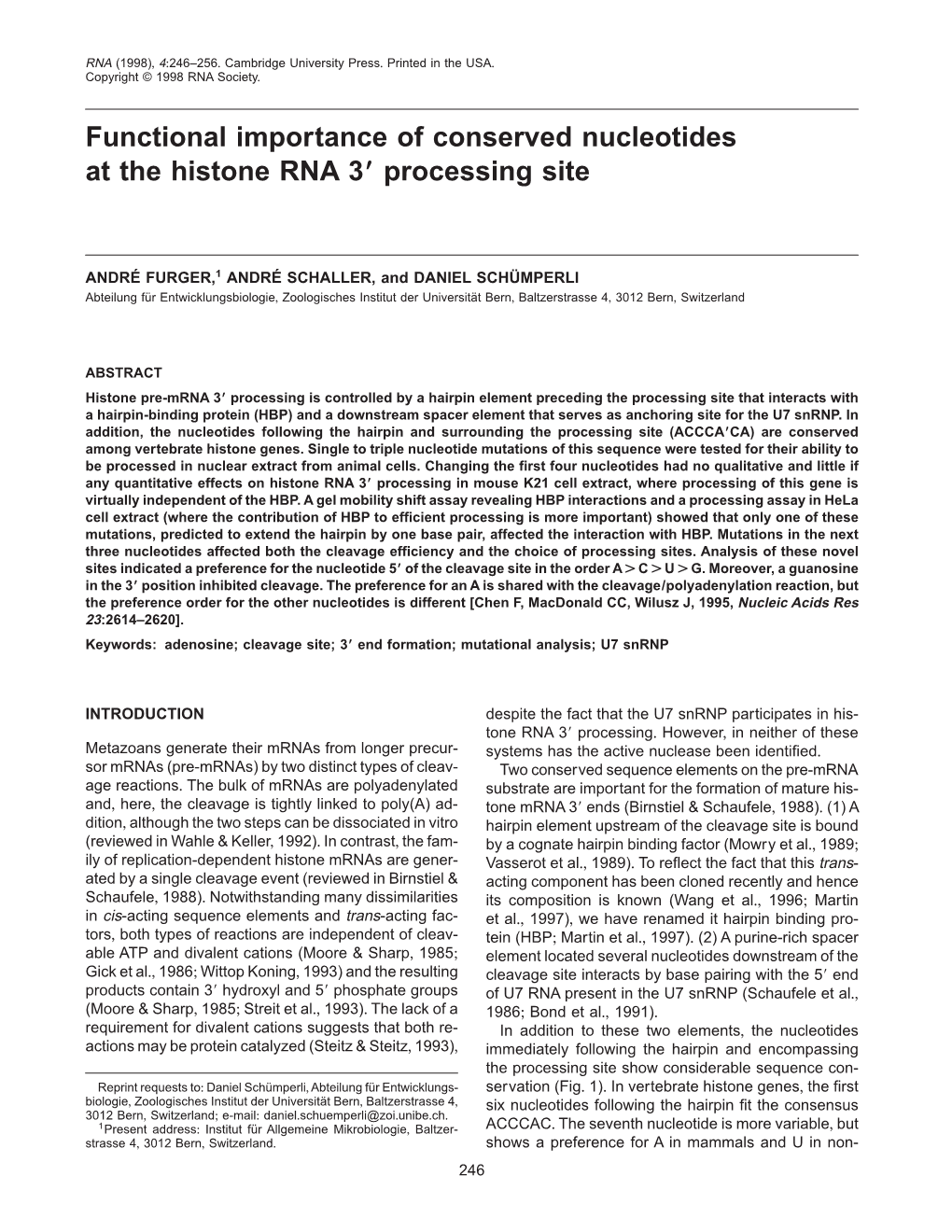 Functional Importance of Conserved Nucleotides at the Histone RNA 39 Processing Site