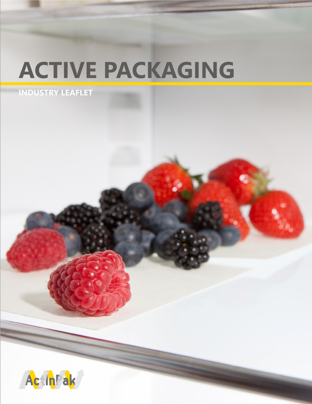 Active Packaging Industry Leaflet Authors