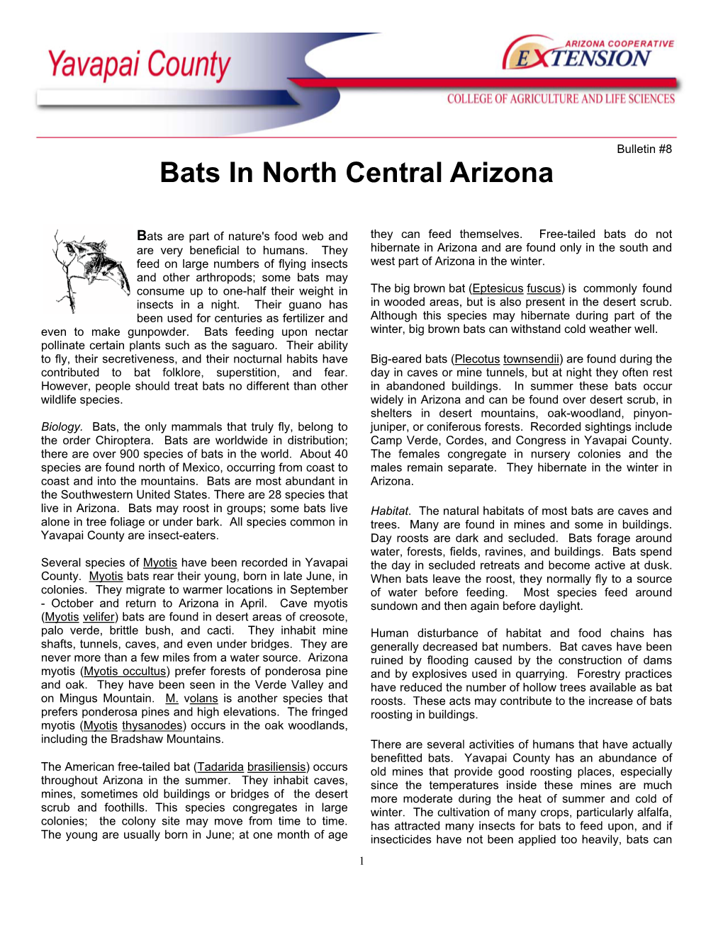 Bats in and Around Houses