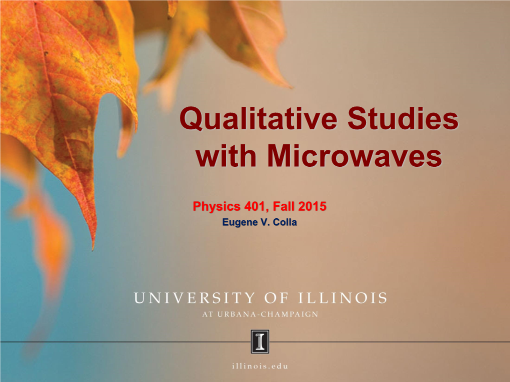 Qualitative Studies with Microwaves