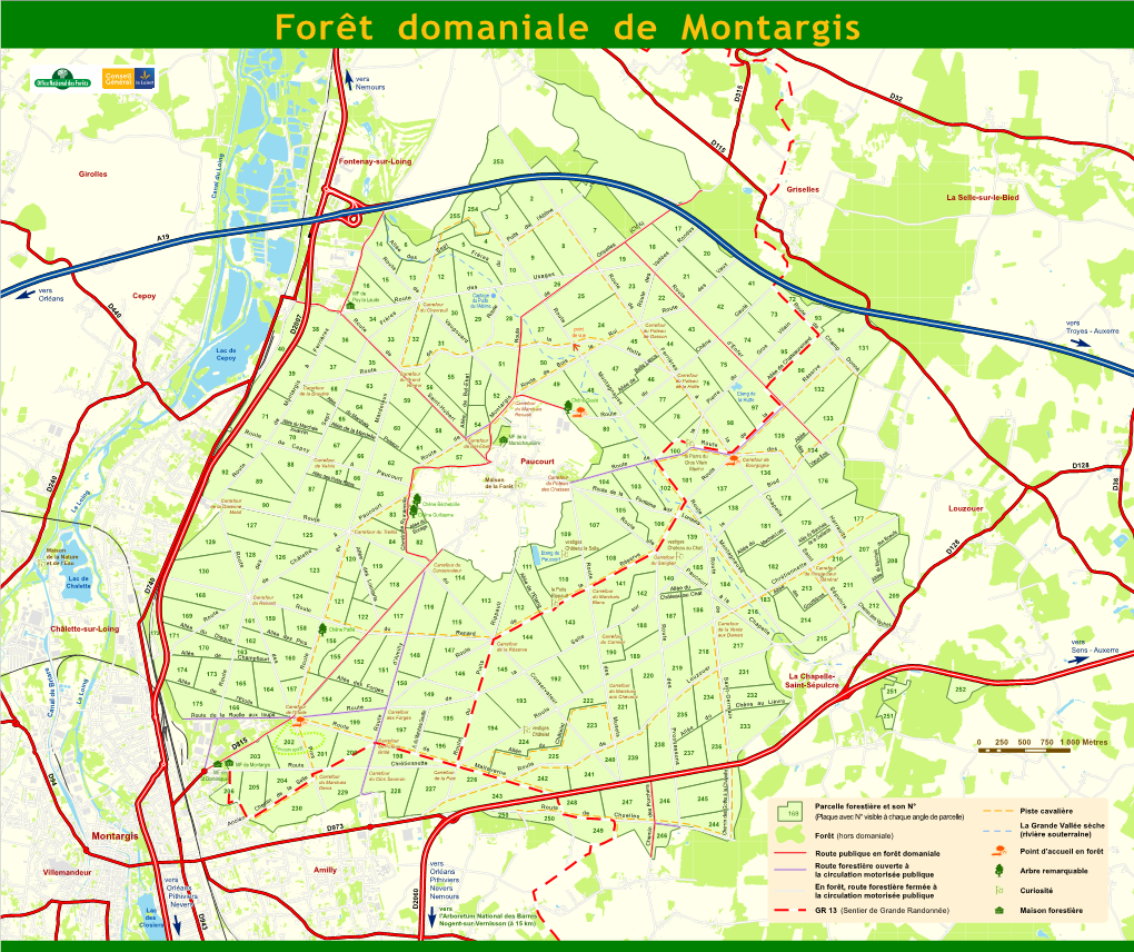 Forêt Domaniale De Montargis