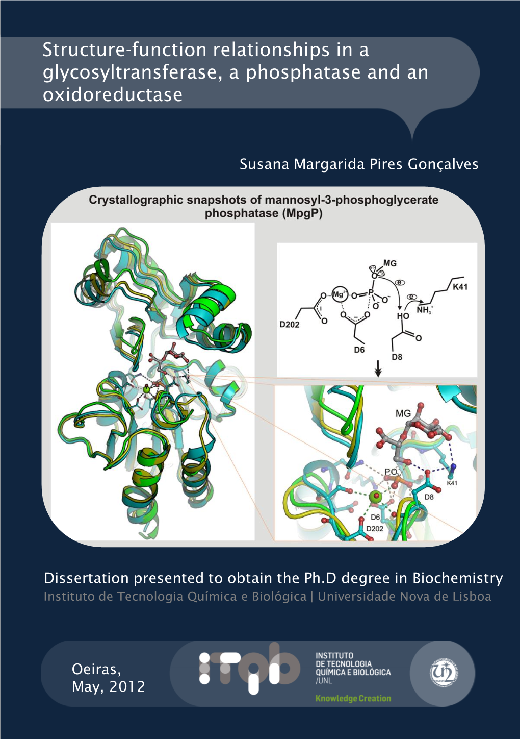 Structure-Function Relationships in a Glycosyltransferase, a Phosphatase and an Oxidoreductase