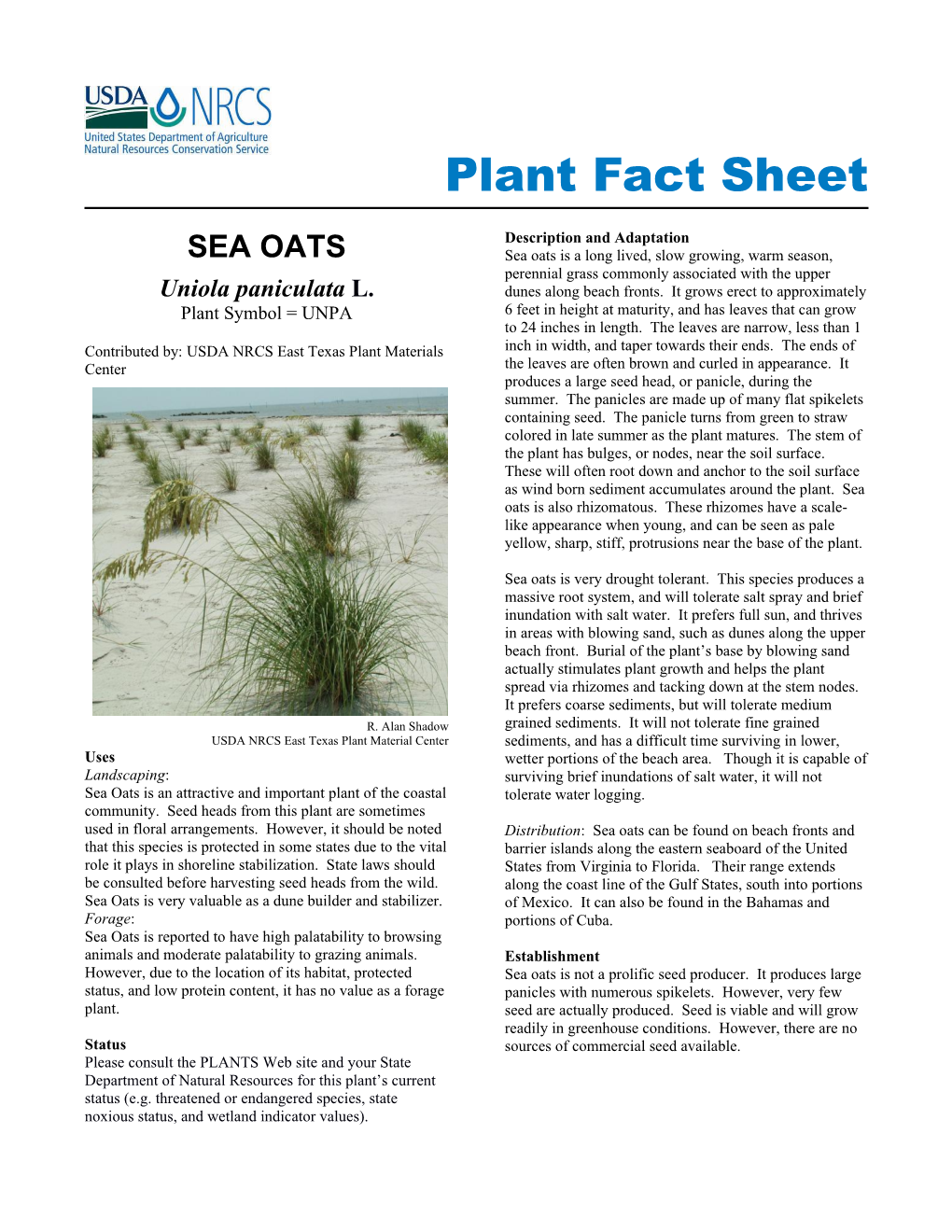 Sea Oats Plant Fact Sheet