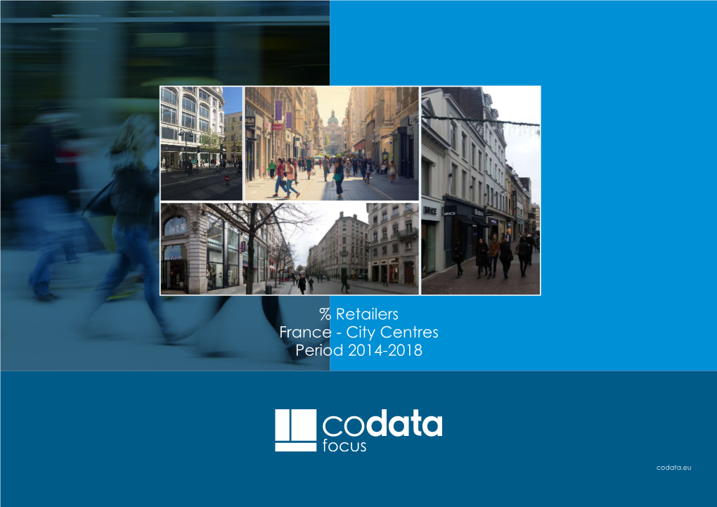 Download the Codata Focus on Percentage of Retailers in France