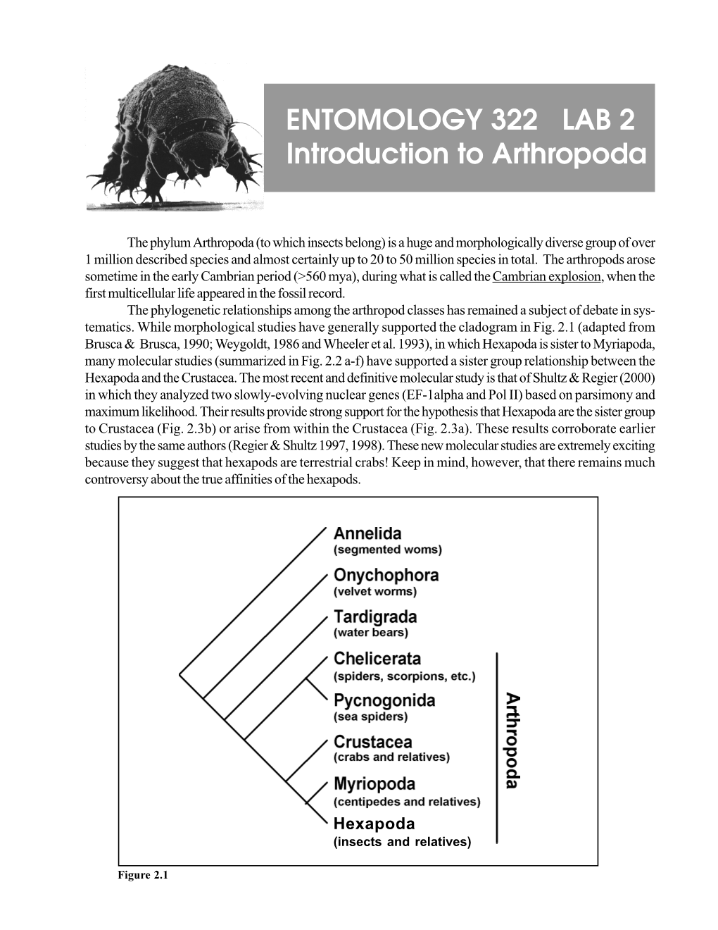 ENTOMOLOGY 322 LAB 2 Introduction to Arthropoda