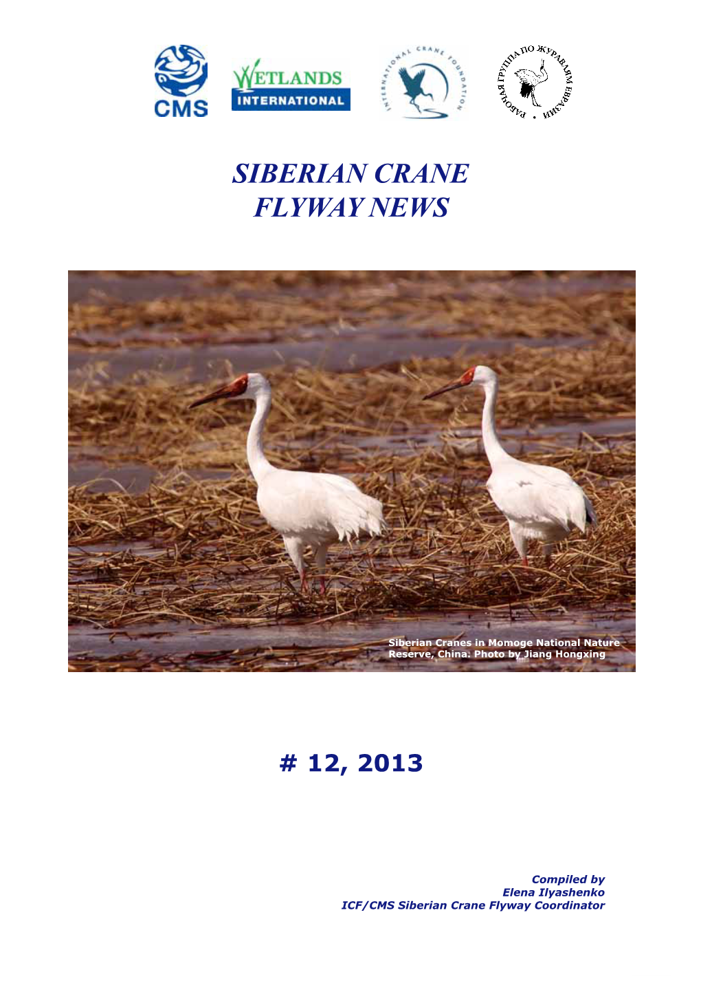 Siberian Crane Flyway News