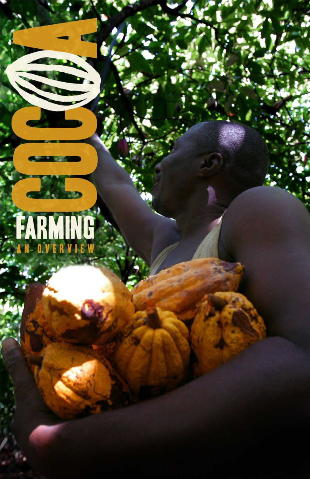 COCOA Farming an OVERVIEW