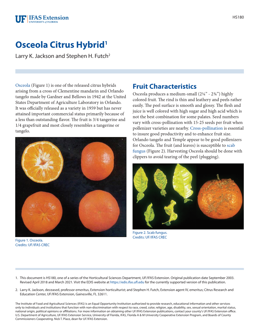 Osceola Citrus Hybrid1 Larry K