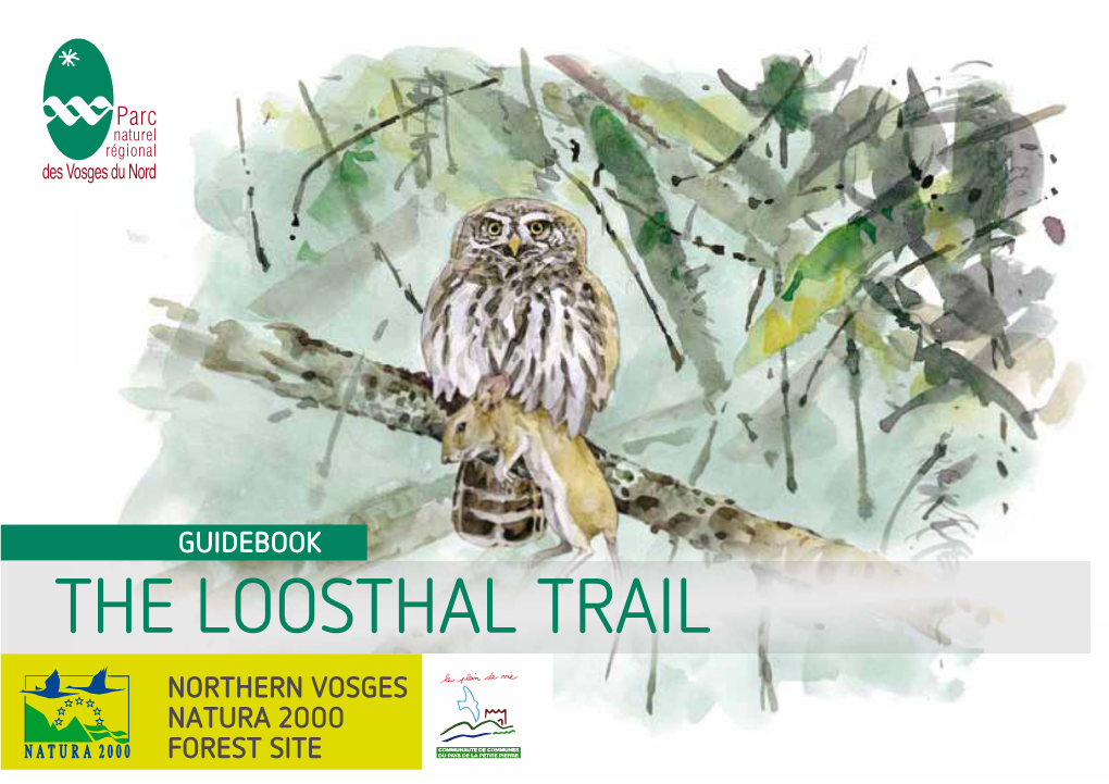 The Loosthal Trail