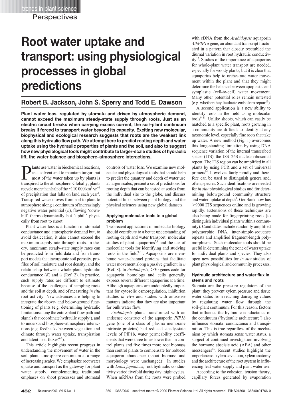 Root Water Uptake and Transport: Using Physiological Processes in Global Predictions