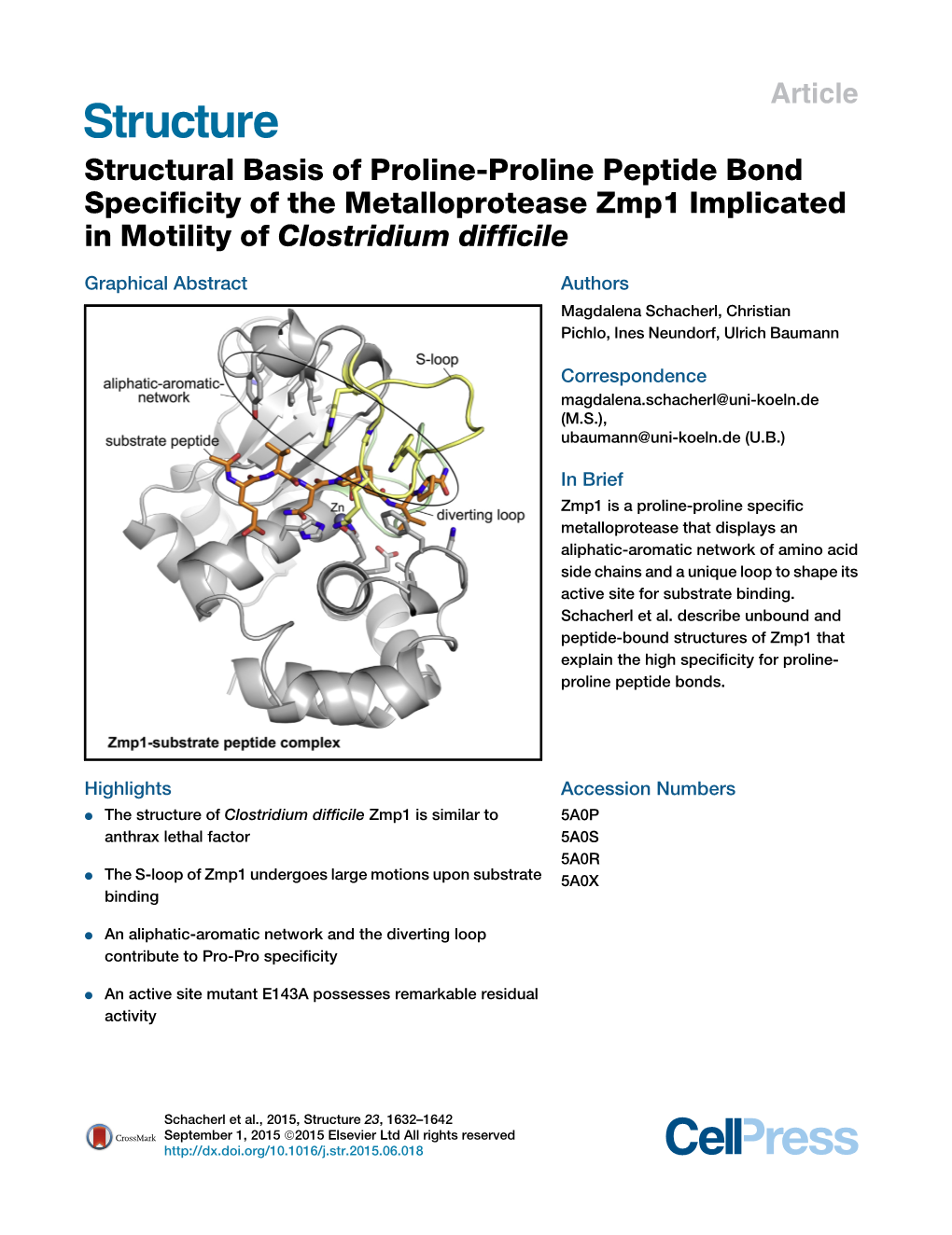 Structural Basis of Proline-Proline Peptide Bond Specificity of the Metalloprotease Zmp1 Implicated in Motility of Clostridium D