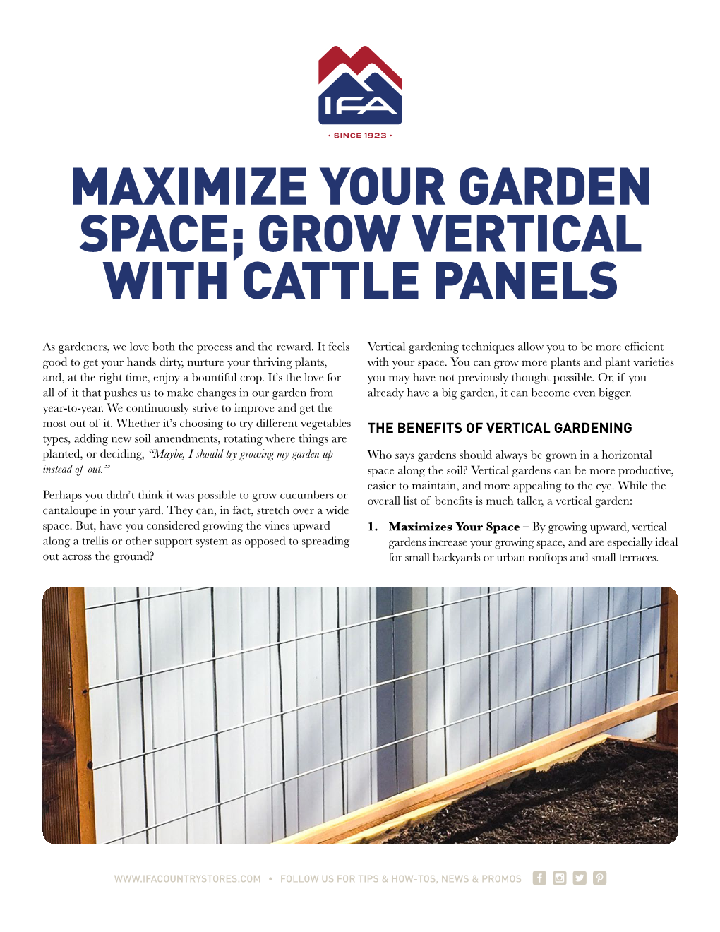 Maximize Your Garden Space; Grow Vertical with Cattle Panels