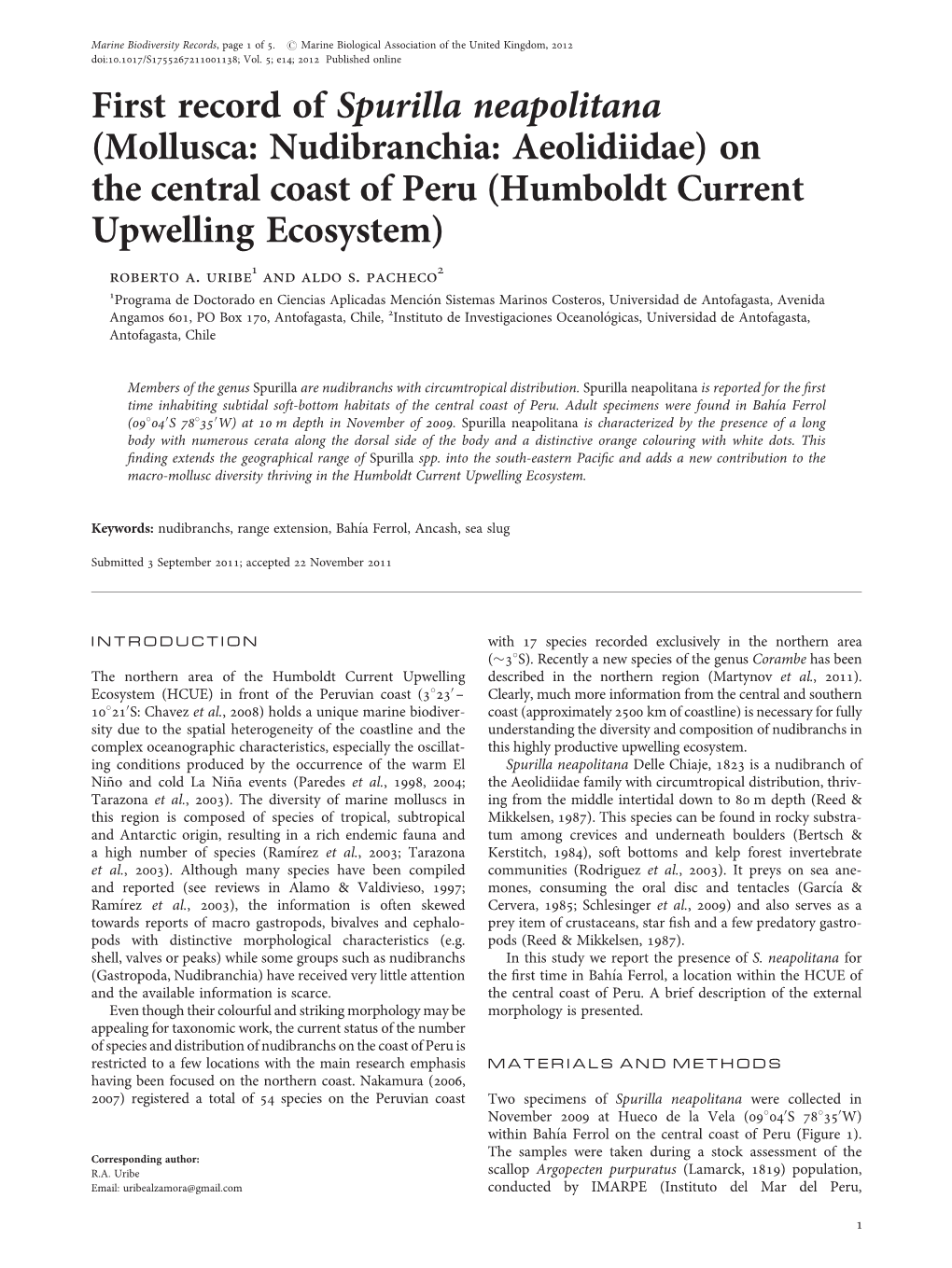 (Mollusca: Nudibranchia: Aeolidiidae) on the Central Coast of Peru (Humboldt Current Upwelling Ecosystem) Roberto A