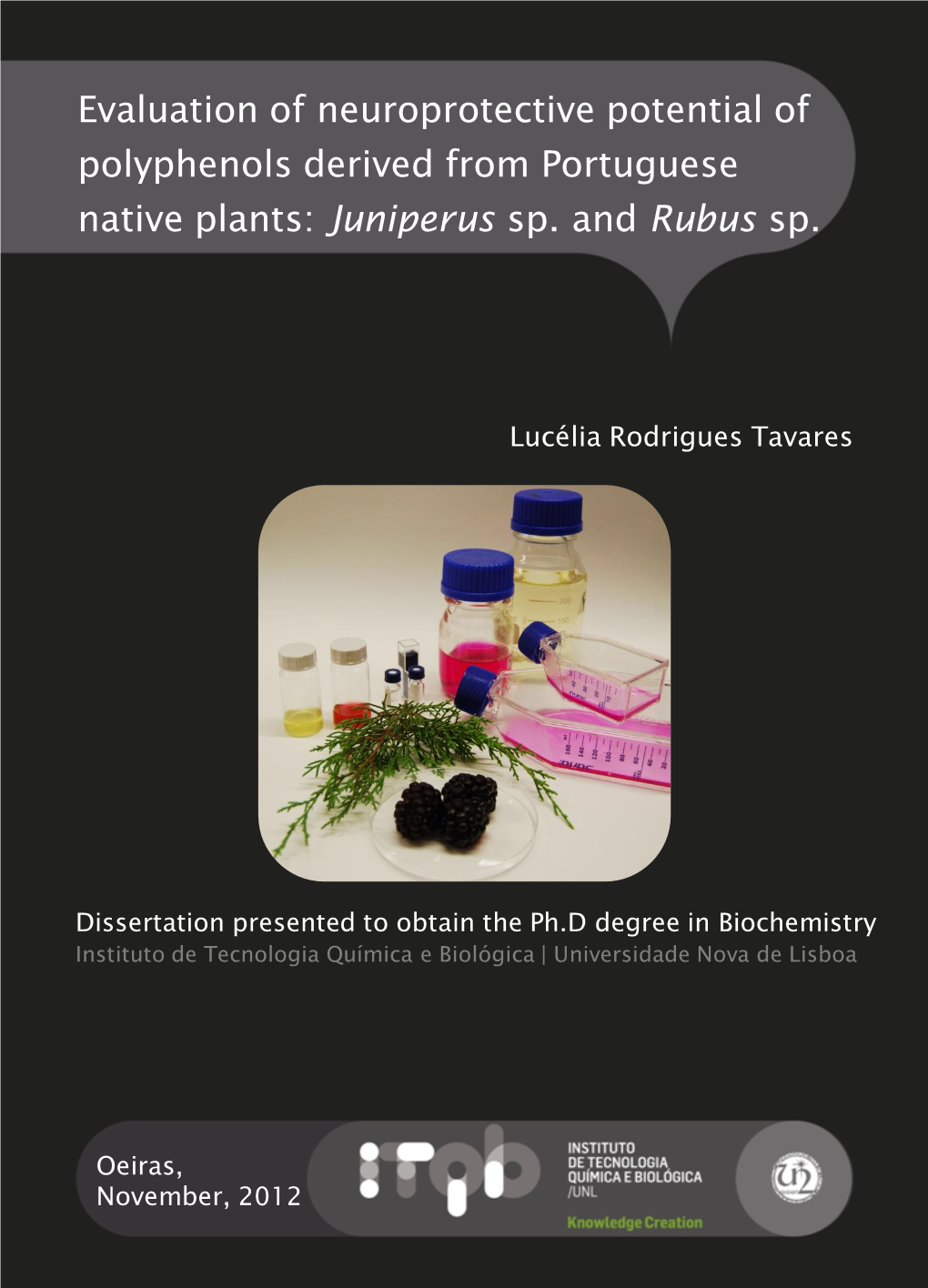 Evaluation of Neuroprotective Potential of Polyphenols Derived from Portuguese Native Plants: Juniperus Sp