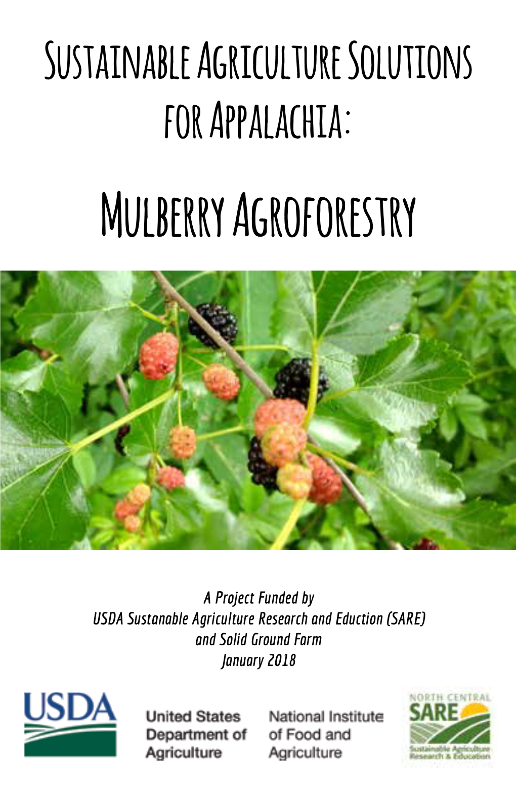 Mulberry Agroforestry