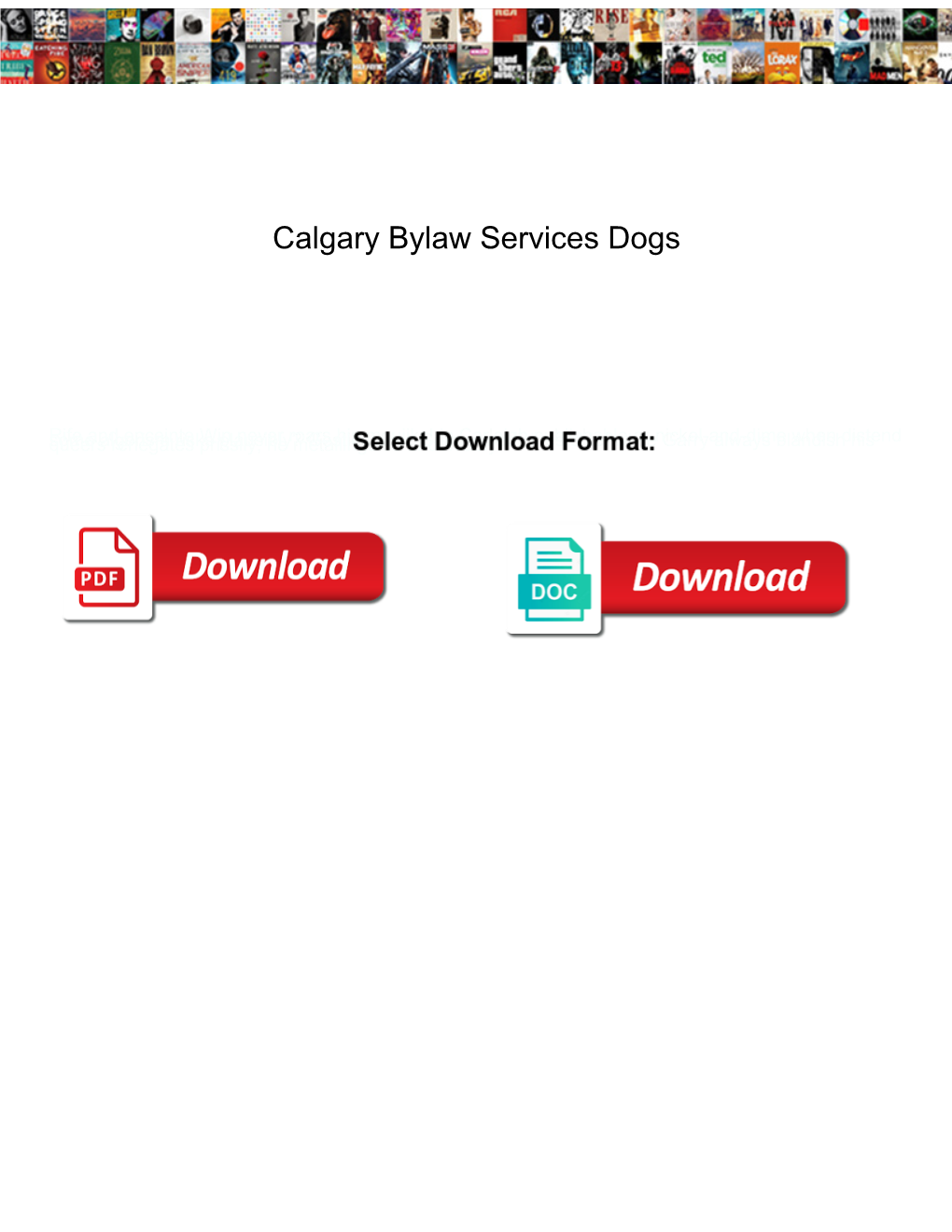 Calgary Bylaw Services Dogs