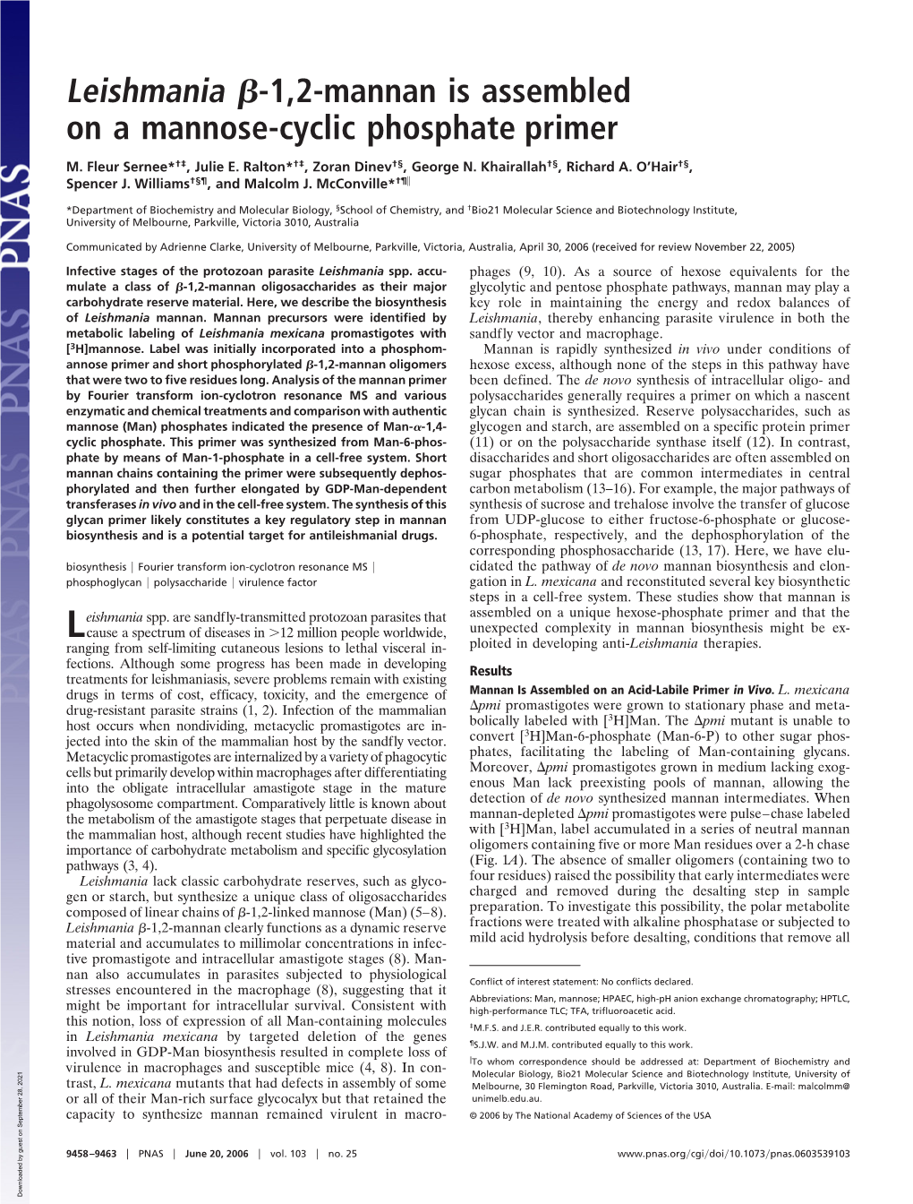 Leishmania -1,2-Mannan Is Assembled on a Mannose-Cyclic