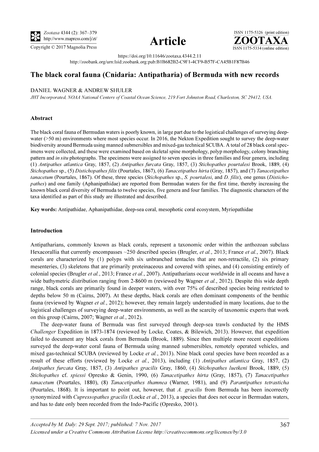 The Black Coral Fauna (Cnidaria: Antipatharia) of Bermuda with New Records