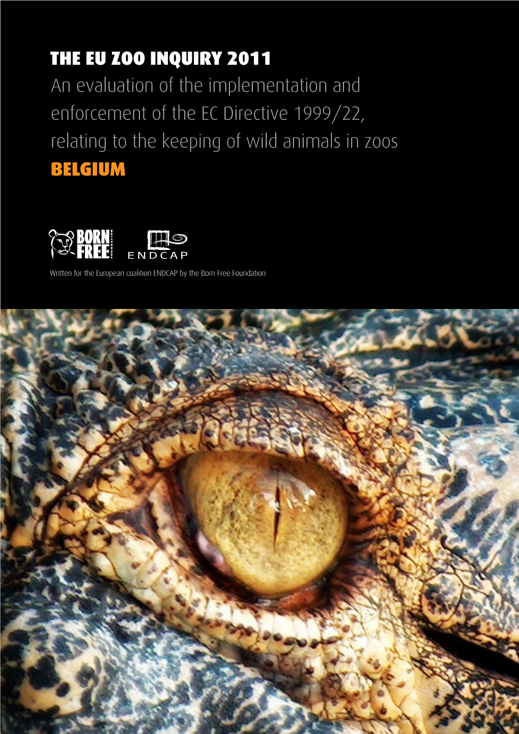 BELGIUM Zoo Report FINAL[1]