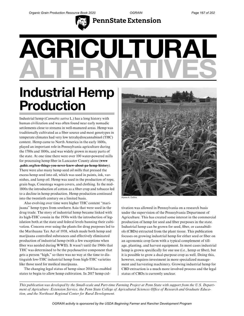 Industrial Hemp Production