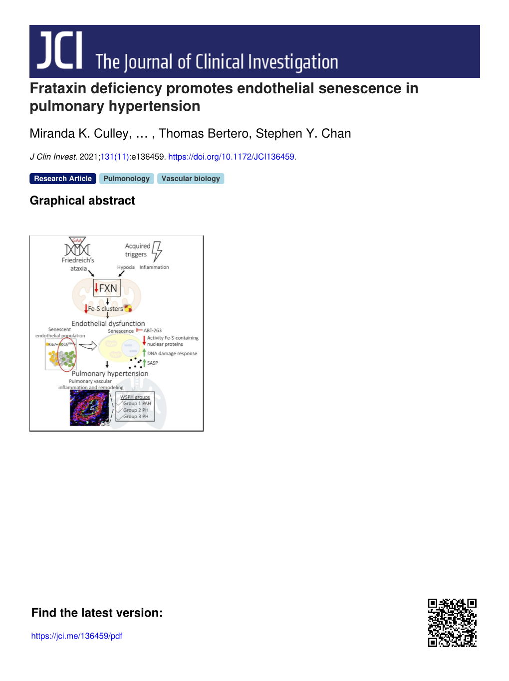 Frataxin Deficiency Promotes Endothelial Senescence in Pulmonary Hypertension