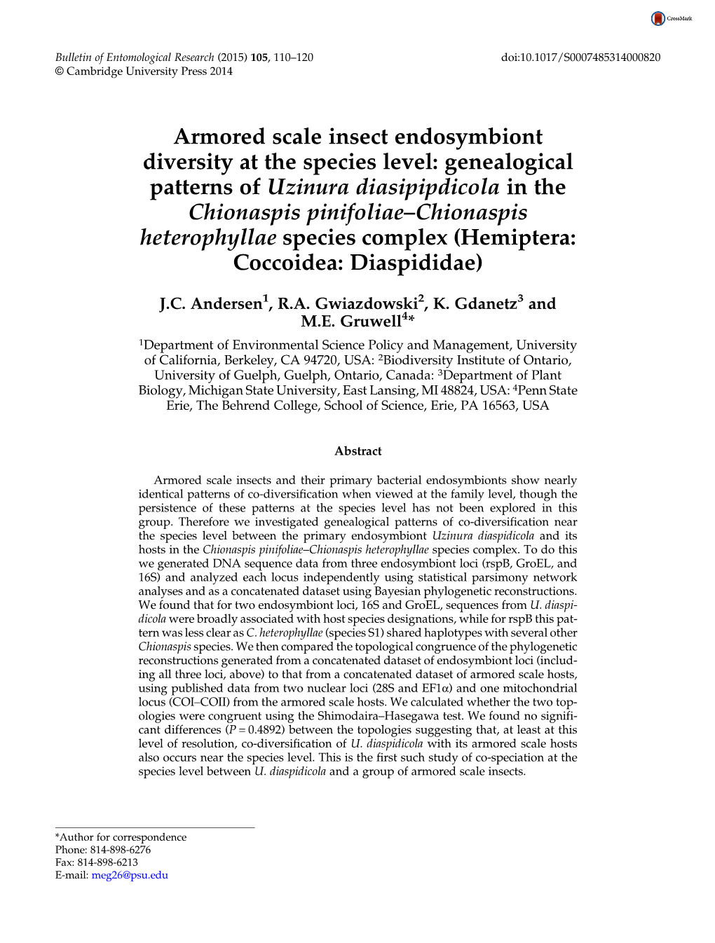 Armored Scale Insect Endosymbiont Diversity at the Species Level: Genealogical Patterns of Uzinura Diasipipdicola in the Chionas