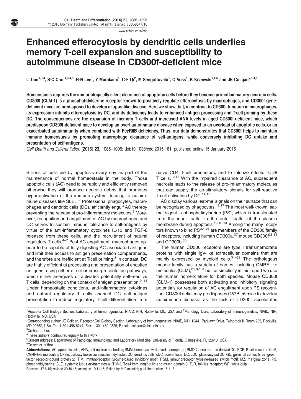 Enhanced Efferocytosis by Dendritic Cells Underlies Memory T-Cell Expansion and Susceptibility to Autoimmune Disease in Cd300f-Deficient Mice