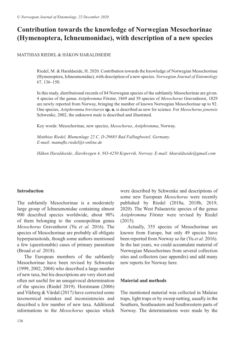 Contribution Towards the Knowledge of Norwegian Mesochorinae (Hymenoptera, Ichneumonidae), with Description of a New Species