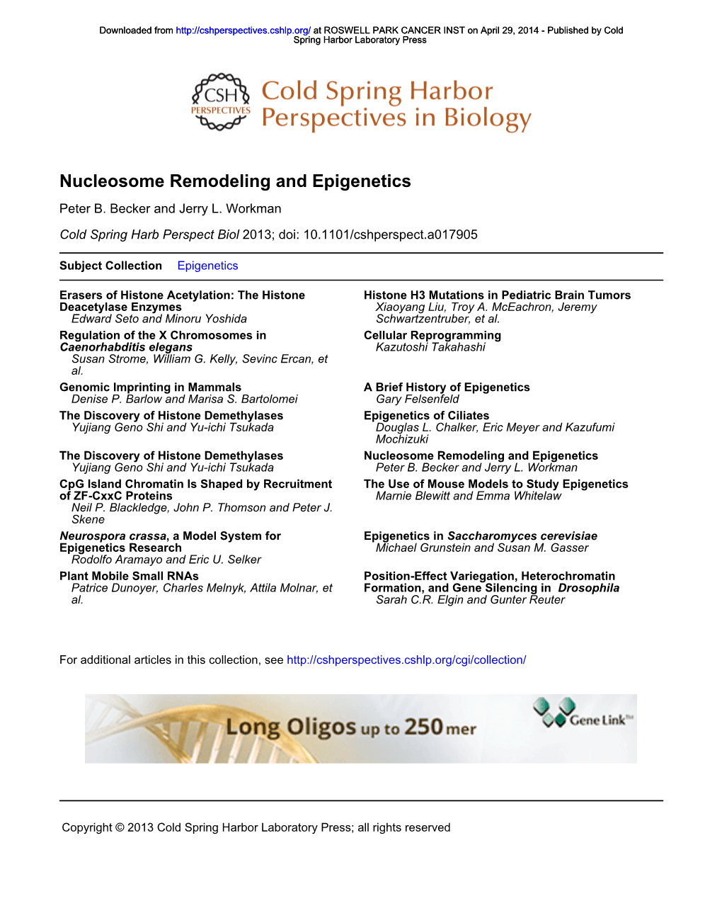 Nucleosome Remodeling and Epigenetics