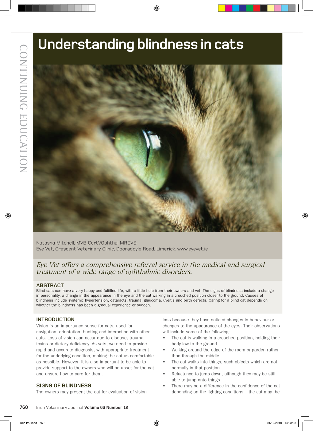 Understanding Blindness in Cats