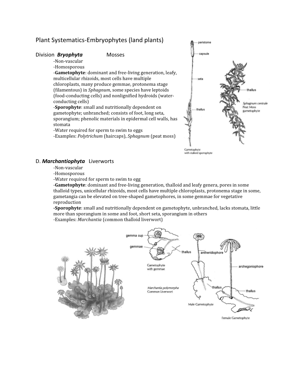 Plant Systematics-Embryophytes (Land Plants)