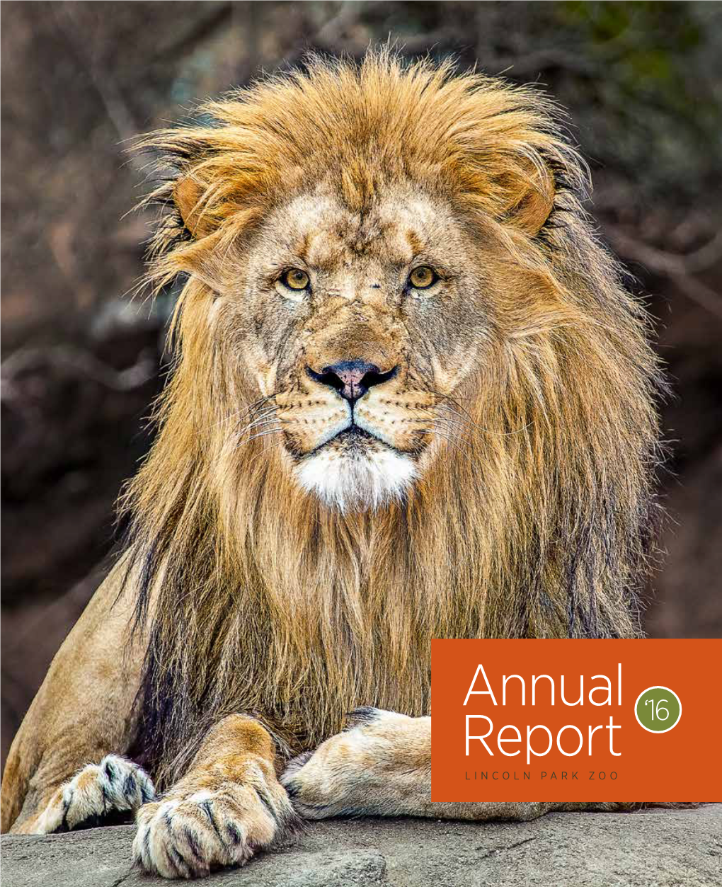 Annual Report 2016